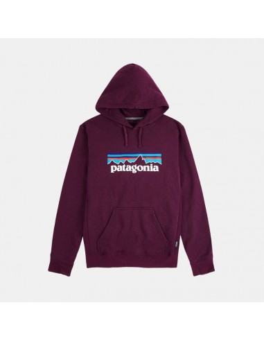 Patagonia Line Logo Ridge Stripe Uprisal Hoody Night Plum s'inspire de l'anatomie humaine