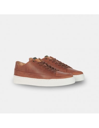 Barbour Lago Trainers Cognac Comparez plus de prix