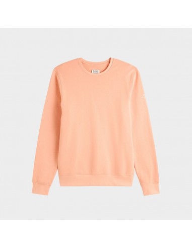 Ecoalf Warrenalf Sweatshirt Peach Découvrez la collection